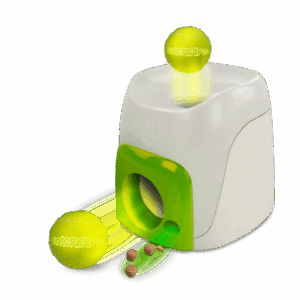 AFP Interactives Fetch'N'Treat Original