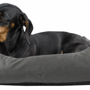 Bodyguard Sofa Bed Grijs S