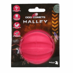 Dog Comets Halley Roze