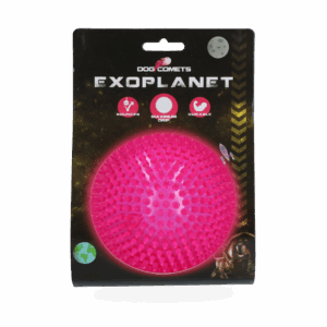 Dog Comets Exoplanet Egelbal L Roze