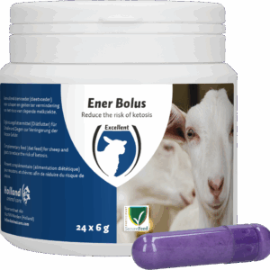 Excellent Ener Bolus Schaap & Geit