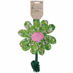 Garden Paws Flower Summer Shrubs M