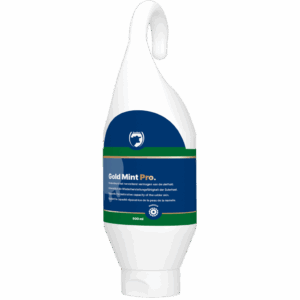 Excellent Gold Mint Pro Sta-/Hangtube 500 ml