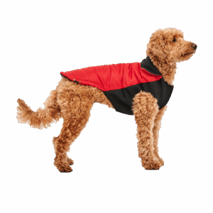 Goo-eez Mock Neck Signature Wrap Jacket M Rood/Zwart