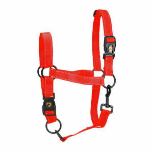 Excellent Premium Halster Rood S