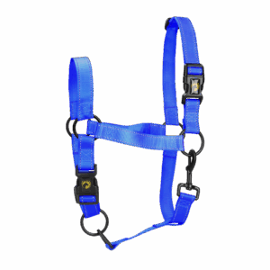 Excellent Premium Halster Blauw XL