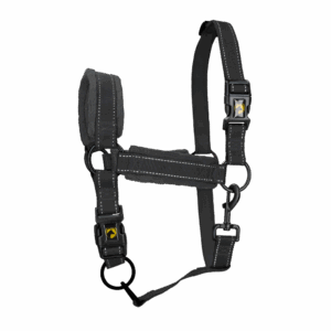 Excellent Superior Halster Zwart S