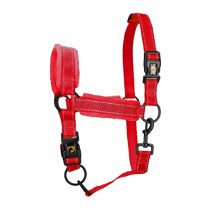 Excellent Superior Halster Rood M