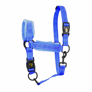 Excellent Superior Halster Blauw L