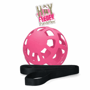 Hay Slow Feeder Fun & Flex Roze