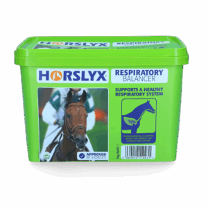 Horslyx 5 kilo Respiratory Balancer