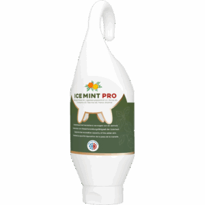 Ice Mint Pro Gel Sta- / Hangtube 500 ml