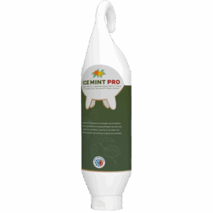 Ice Mint Pro Gel Sta- / Hangtube 1 l