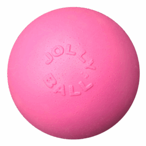 Jolly Bounce-n Play Kauwgum L (20 cm)