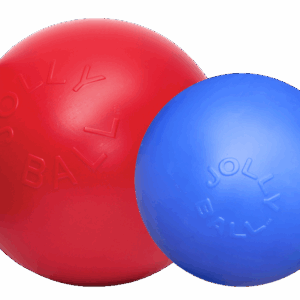 Jolly Push-n-Play Rood L (25 cm)