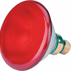 Spaarlamp 175 W - Rood