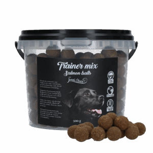 Luna's Choice Trainer Mix Zalm Balletjes (glutenvrij)