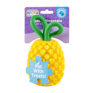Outward Hound Dental Pineapple