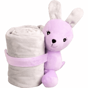 Pawise Puppy Life Blanket With Toy