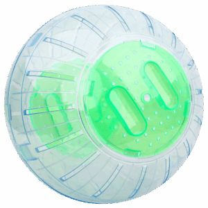 Pawise Exercise Ball L - 25 cm