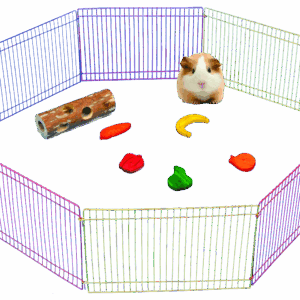 Pawise Small Animal Play Pen