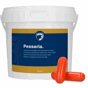 Excellent Pessaria Capsule 12 st