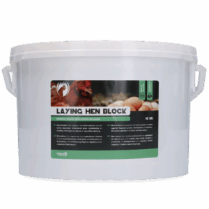 Excellent Legkippen Blok 10 kg