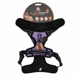 Spotted! Pro No Pull Harnas Paars M