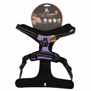 Spotted! Pro No Pull Harnas Paars L