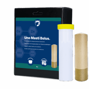 Excellent Uno Masti Bolus 4 stuks